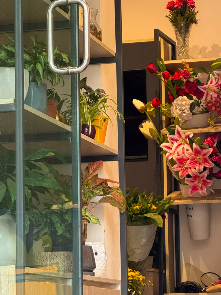 Aditi Gallery Photo 10